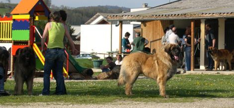 Vao koutoumo de l'aulp de fier